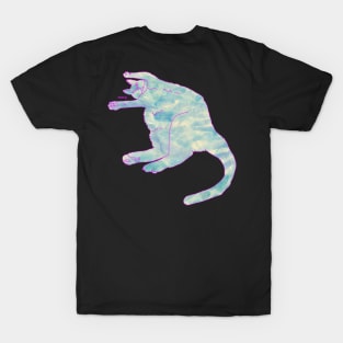 Silly Kitty T-Shirt